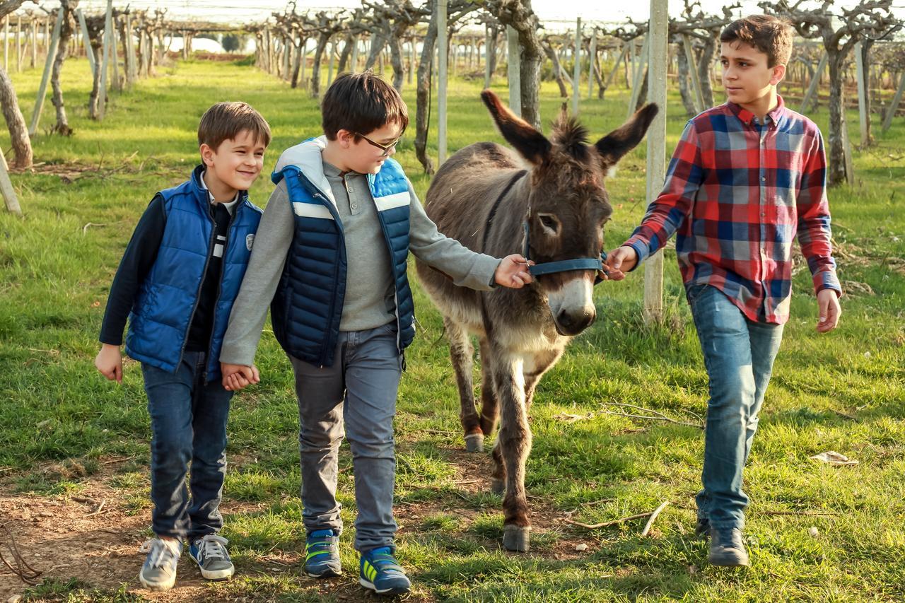 Azienda Agrituristica Il Pago Nova Siri Marina Exteriér fotografie